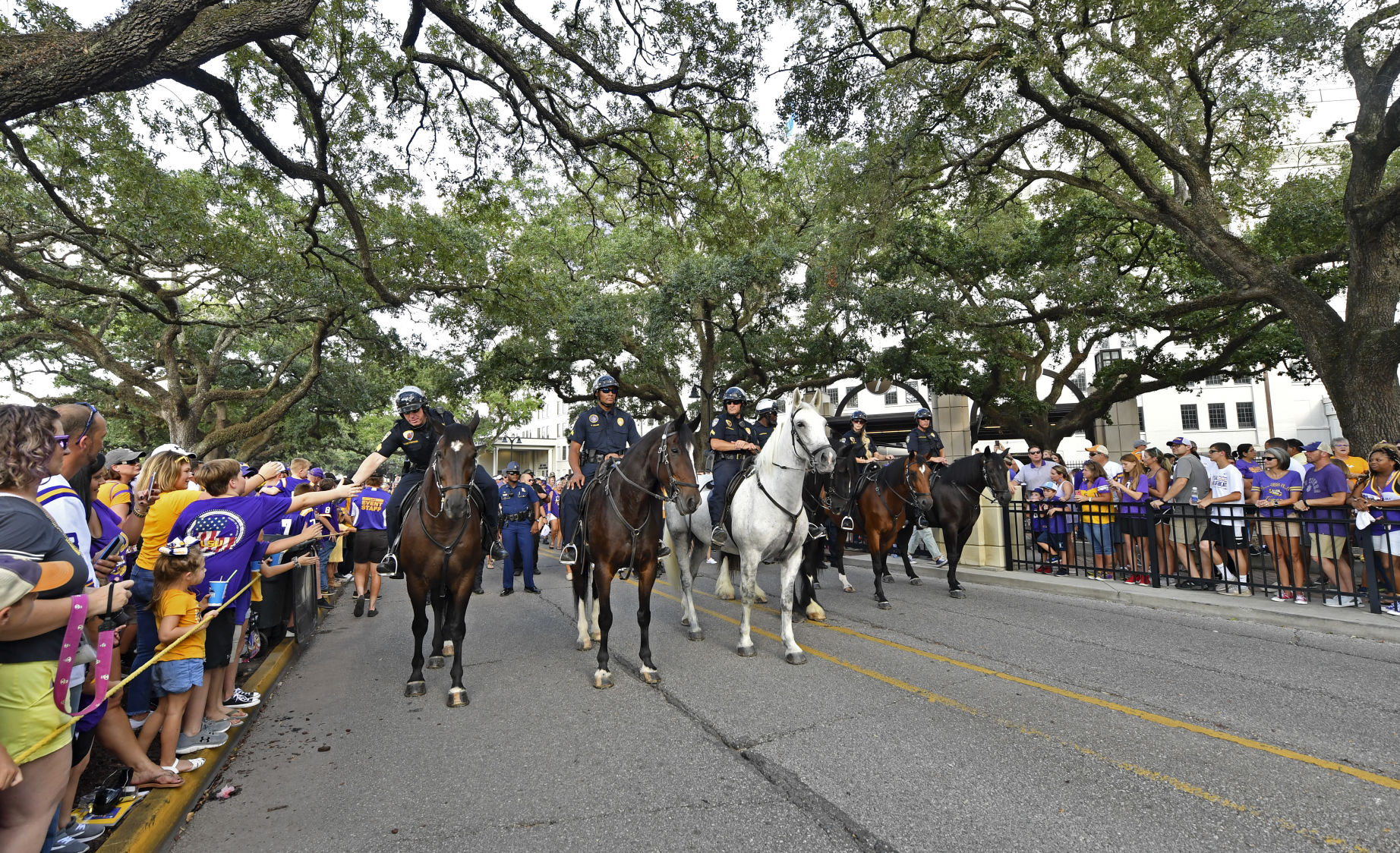 BR.brpdhorses.adv HS 049.JPG